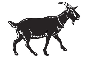 goat on white background