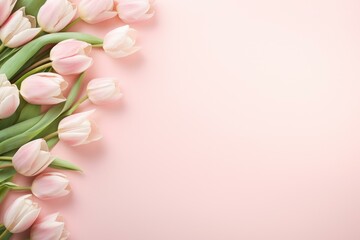 Beautiful bouquet of pink tulips arranged on a pastel pink background, creating a delicate and romantic border with ample copy space