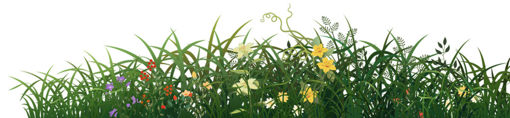 Various flowers and grasses drawn with illustrator vector, transparent background for compositing for various pictures, daffodils,