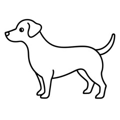 dog on white background  for kids colouring book