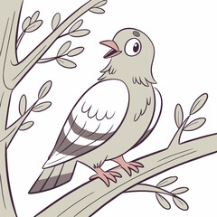dove on branch
