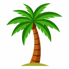 palm tree vector illustration