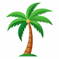 palm tree vector illustration
