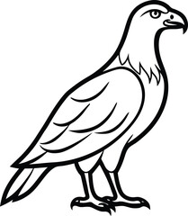 Standing Eagle vector, Eagle silhouette vector, Eagle line art vector illustration design