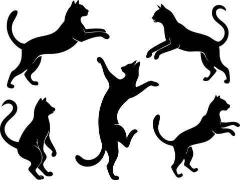 jumping cat icon set silhouette vector