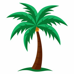 palm tree vector illustration