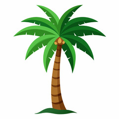 palm tree and coconut