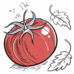 hand drawn tomato