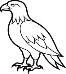 Standing Eagle vector, Eagle silhouette vector, Eagle line art vector illustration design