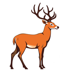 An American deer stands against a white backdrop