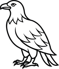 Obraz premium Standing Eagle vector, Eagle silhouette vector, Eagle line art vector illustration design