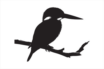 Kingfisher Silhouette vector 