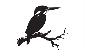 Kingfisher Silhouette vector 