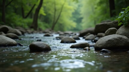 Fototapeta premium Serene Forest Stream with Smooth Rocks and Gentle Ripples