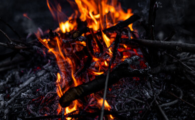 Fire crackles and flames dance among twigs and ash in a quiet nighttime setting