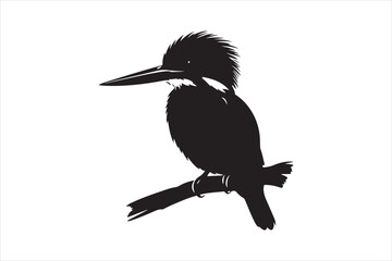 Kingfisher Silhouette vector 