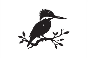 Obraz premium Kingfisher Silhouette vector 