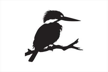 Kingfisher Silhouette vector 