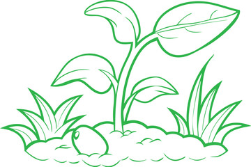 Seed Sprouting into a Tall Plant with Elegant Line Art Leaves illustration of a green plant