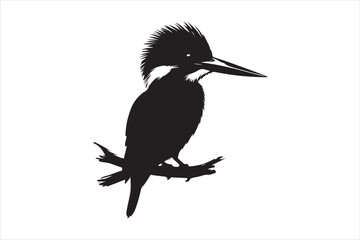 Kingfisher Silhouette vector 