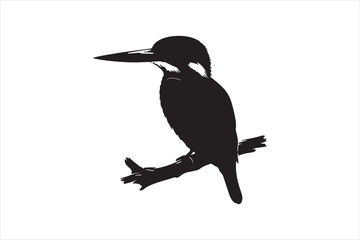 Kingfisher Silhouette vector 