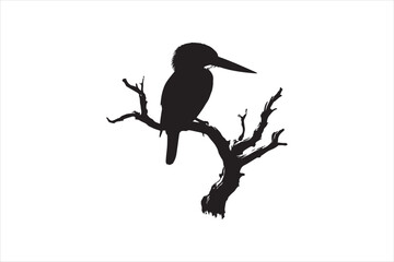 Kingfisher Silhouette vector 