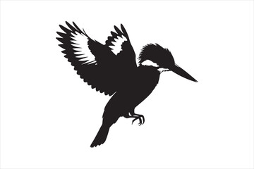 Kingfisher Silhouette vector 