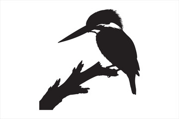 Kingfisher Silhouette vector 