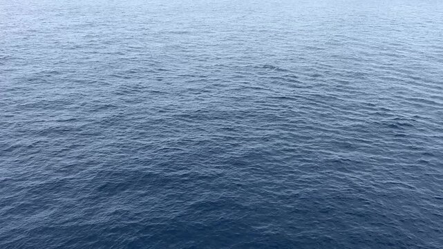 Calm Sea 2131416347453433222