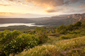 voyage en van alpes maritimes et alpes de hautes Provence Verdon et var 