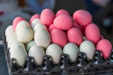 Pink and White Eggs for sale in Chiang Mai Market