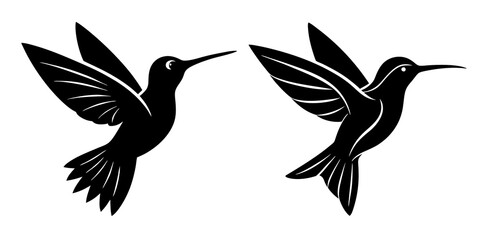 illustration of a dove PNG image