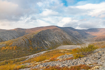 View to Mannepakhp river valley at Khibiny mountains. Stones and small trees. Early autumn in arctic tundra region. Kola peninsula, Murmansk region, Russia.