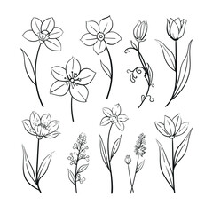 Abstract flowers, leaves, leaf, buds hand drawn vector sketch. ink line drawing. Wild flowers minimalist design. Black and white outline art. floral illustration