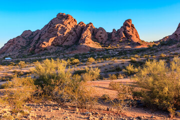 A desert landscape with a mountain range in the background