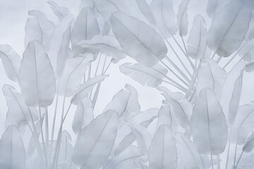 background with palm leaves
