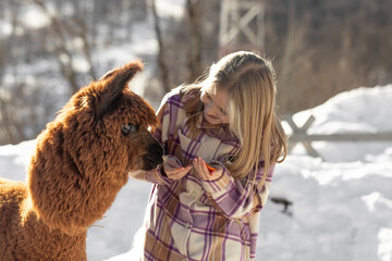 alpaca in the mountains, beautiful girl feeding alpaca © Mariya Surmacheva