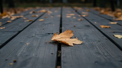 Single brown leaf on dark wooden planks, autumn.