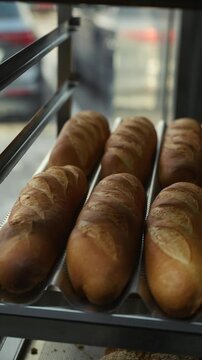 A row of freshly baked baguettes with a crispy crust laid out on a metal tray in front of a bakery window in the morning light.