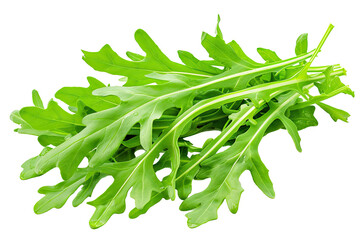 Vibrant green arugula leaves sit freshly picked, ready to enhance salads or complement gourmet dishes with their peppery flavor and crisp texture