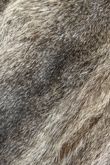 genuine nutria fur coat dyed grey