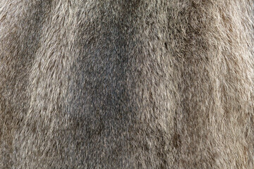 genuine nutria fur coat dyed grey