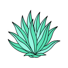 agave plant vector icon, agave plant vector illustration-simple illustration of agave plant, perfect for logos,and agave plant-themed designs.