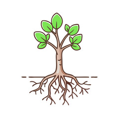 Fototapeta premium rooted tree vector icon, rooted tree vector illustration-simple illustration of rooted tree, perfect for logos,and rooted tree - themed designs.