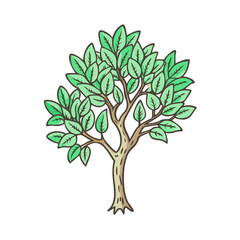tree with fresh leaves vector icon, tree with fresh leaves vector illustration-simple illustration of tree with fresh leaves, perfect for logos,and tree with fresh leaves - themed designs.