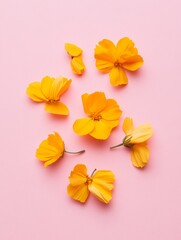 Ethereal Mandala of Marigold Blooms on Pastel Pink Canvas