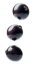 Maqui berries isolated.
Exotic superfood, rich in antioxidants, healthy snack, vibrant color, tart flavor, natural garnish, maqui berry dish, antioxidant-rich fruit.
