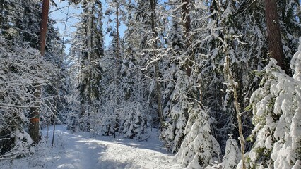 Sweden. Forest and recreation park in the city of Linkoping. Ostergotland province.
