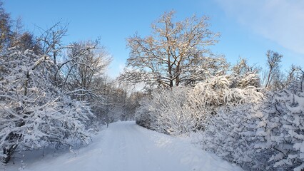 Sweden. Forest and recreation park in the city of Linkoping. Ostergotland province.