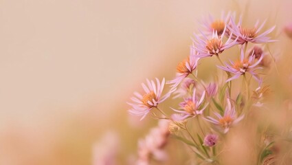 A close-up of wildflowers blurred in one corner, gently fading into negative space, creating a serene and minimalist effect, ideal for a luxury background wallpaper presentation display.

